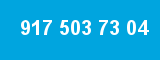 917 503 73 04 917 503 73 04